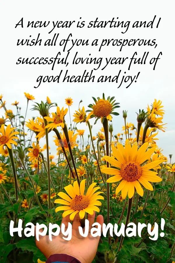 A new year is starting, and I wish all of you a prosperous, successful, loving year full of good health and joy! Happy January!