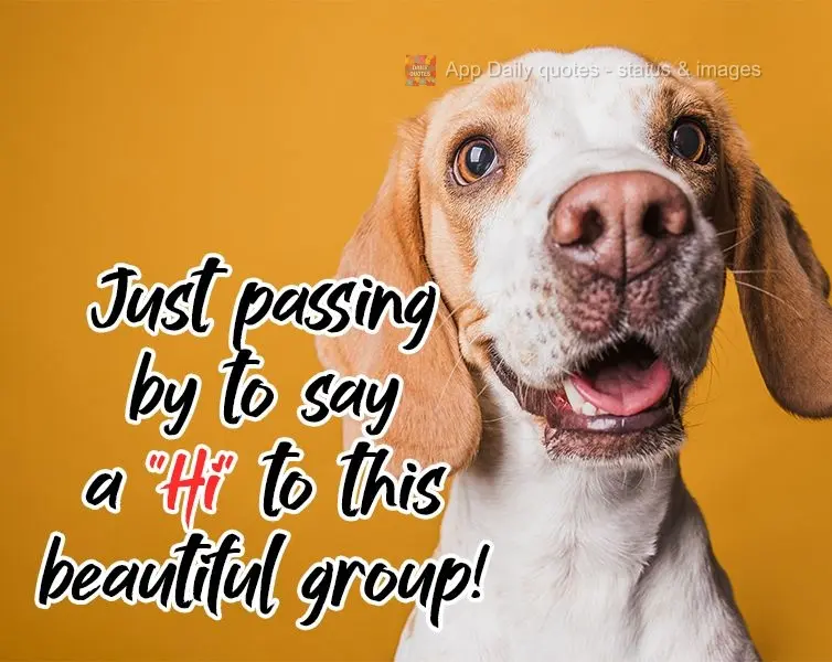 Just passing by to say "Hi" to this beautiful group!
