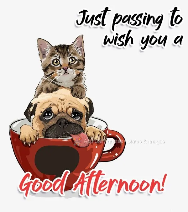 Just passing by to wish you a Good Afternoon!