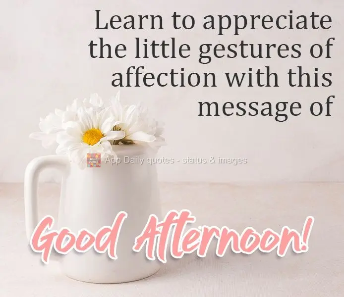 Learn to appreciate the little gestures of affection with this message of Good Afternoon!