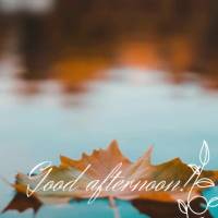 Let blessings reign over your afternoon because God is taking care of things so you can remain at peace! Good afternoon!