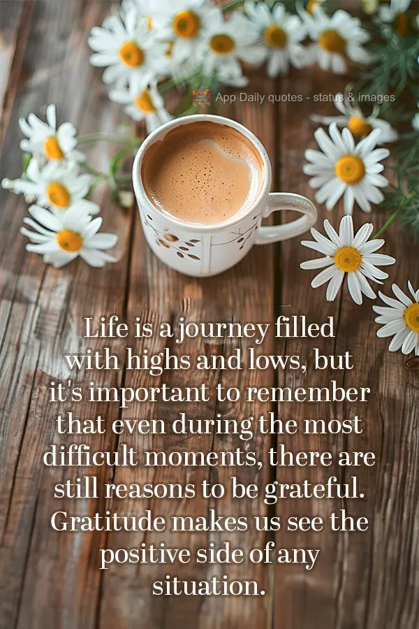 Life is a journey filled with highs and lows, but it's important to remember that even during the most difficult moments, there are still reasons to be g...
