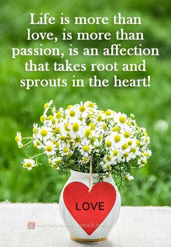 Life is more than love, is more than passion. It is affection that takes root and sprouts in the heart!