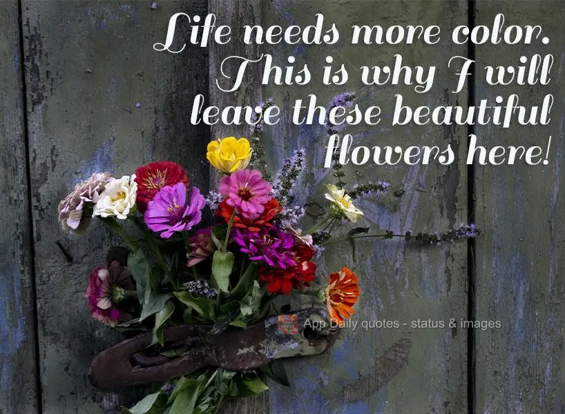 Life needs more color. That's why I will leave these beautiful flowers here!