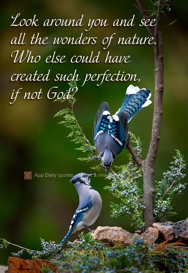 Look around you and see all the wonders of nature. Who else could have created such perfection, if not God?