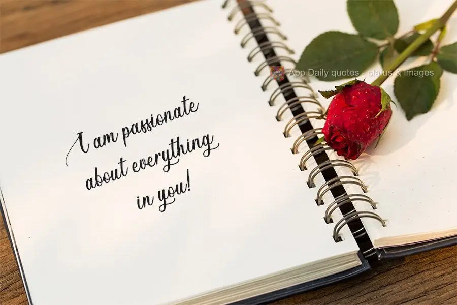 I am passionate about everything in you!