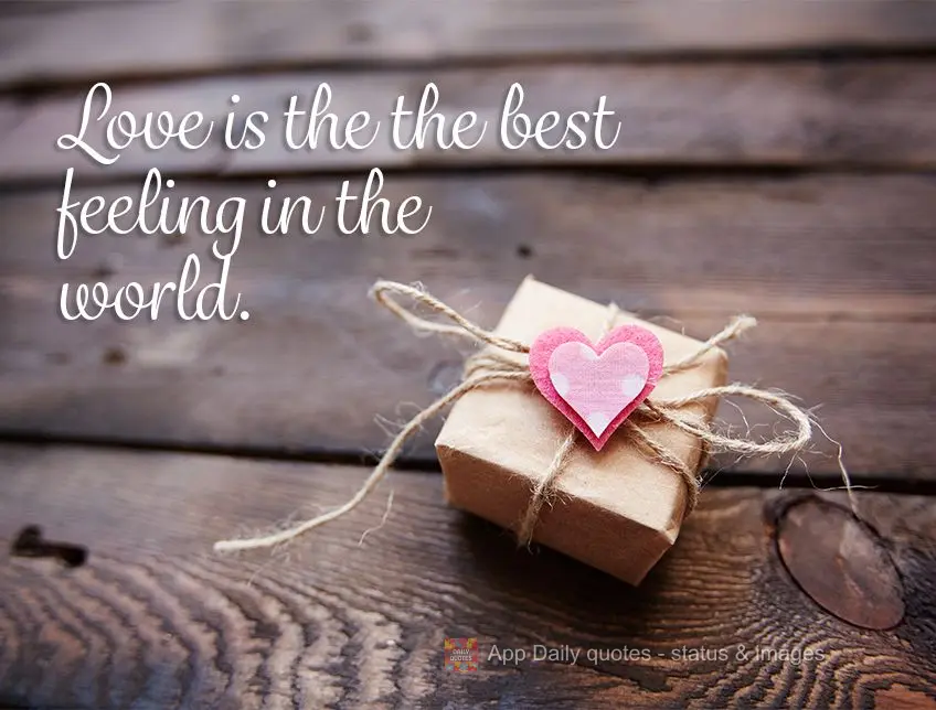 Love is the the best feeling in the world.