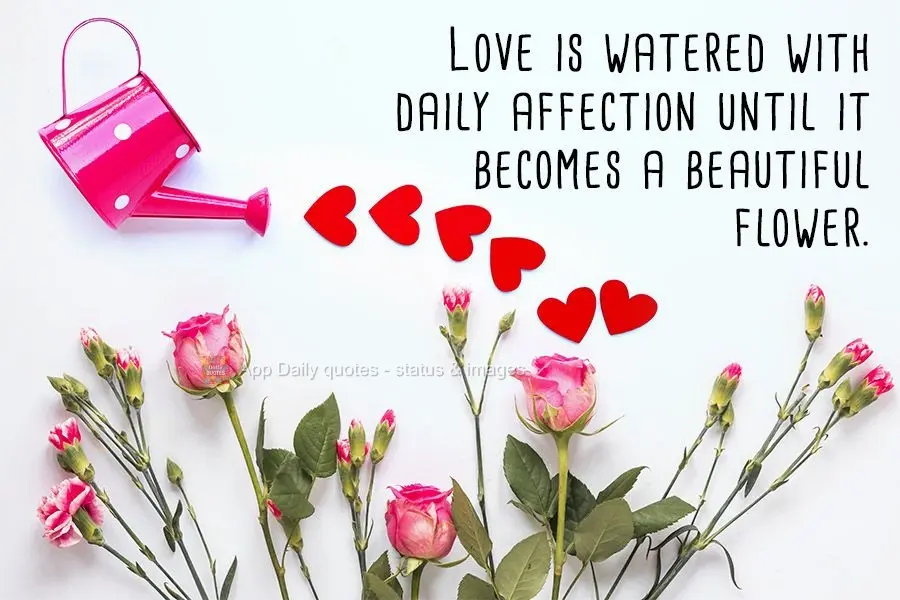 Love is watered with daily affection until it becomes a beautiful flower.