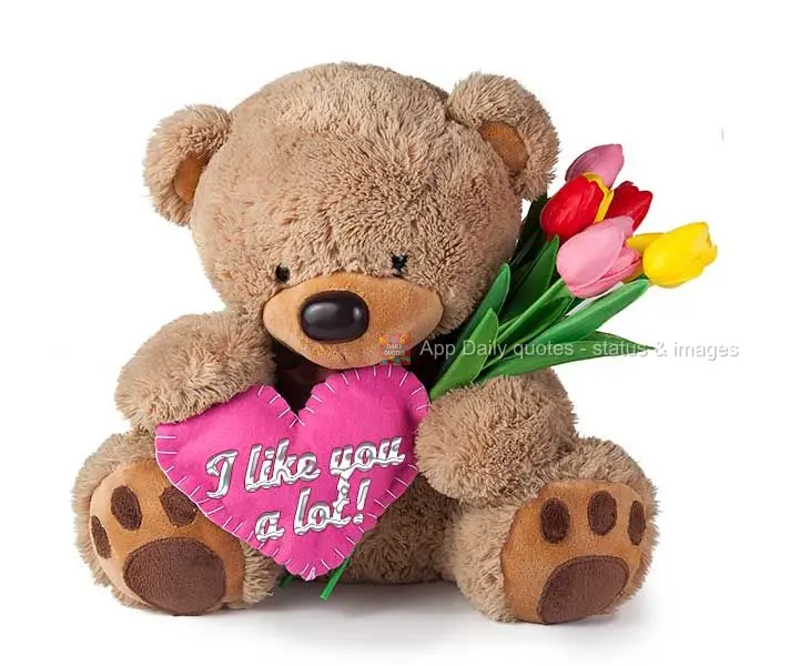 I like you a lot!