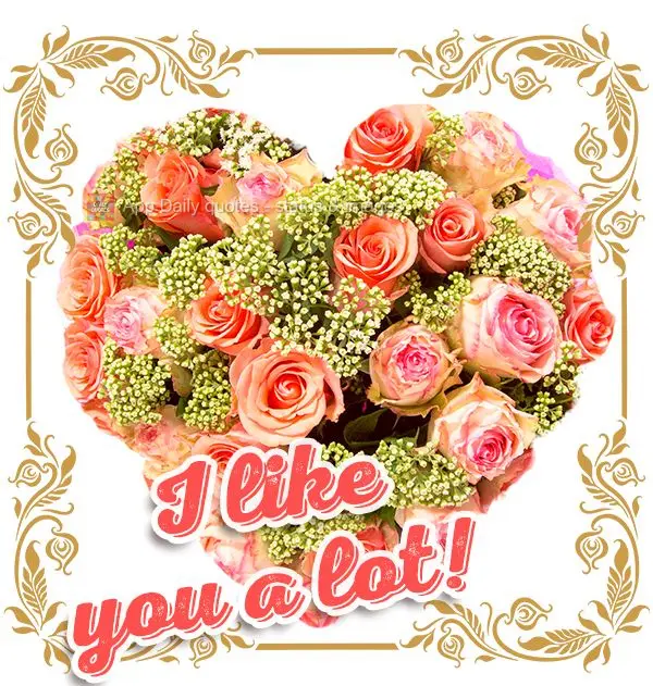 I like you a lot!