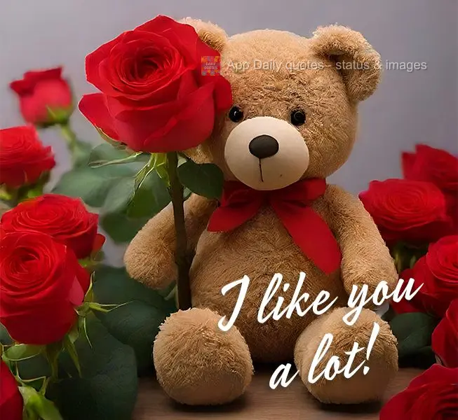 I like you a lot!