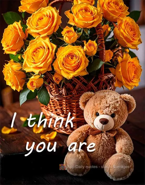 I think you are great!
