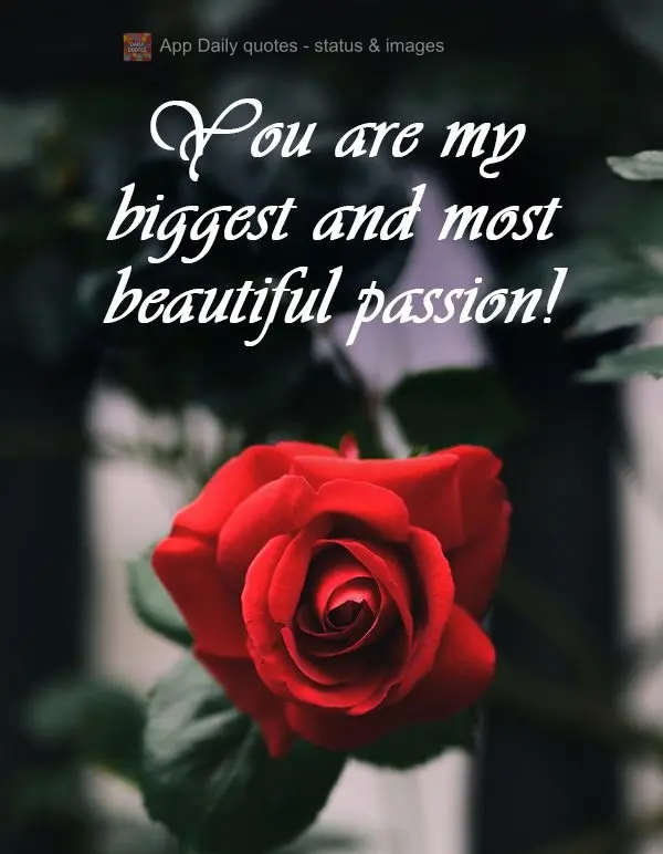 You are my biggest and most beautiful passion!