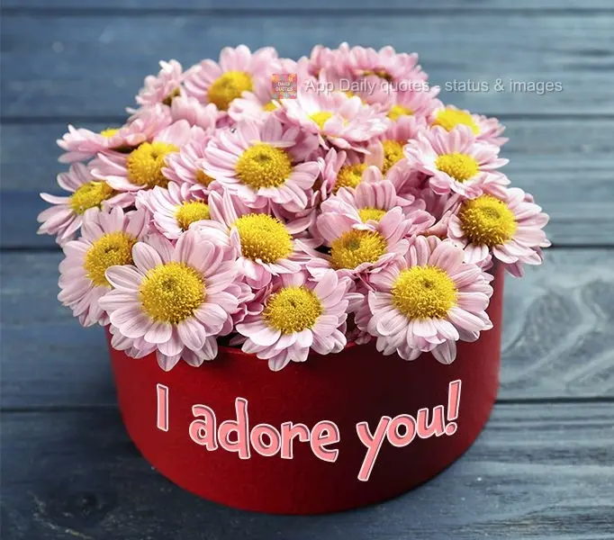 I adore you!