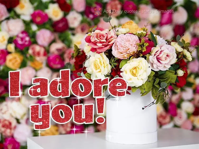 I adore you!
