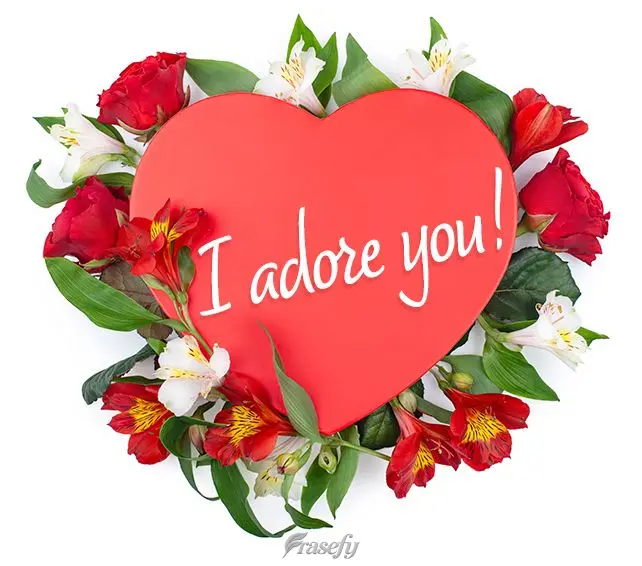 I adore you!