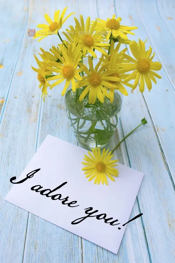 I adore you!