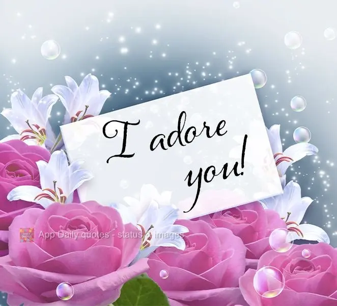 I adore you!