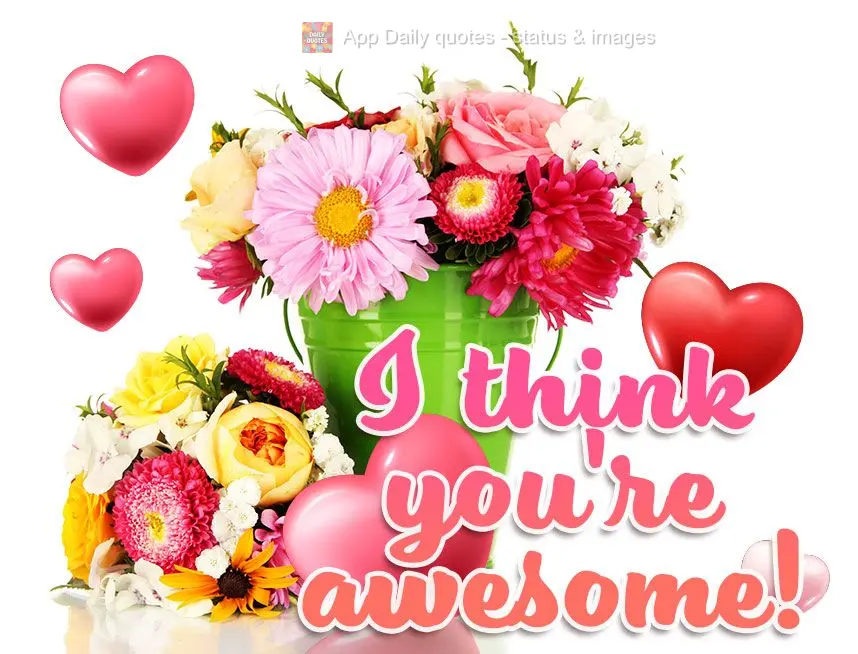 I think you're awesome!