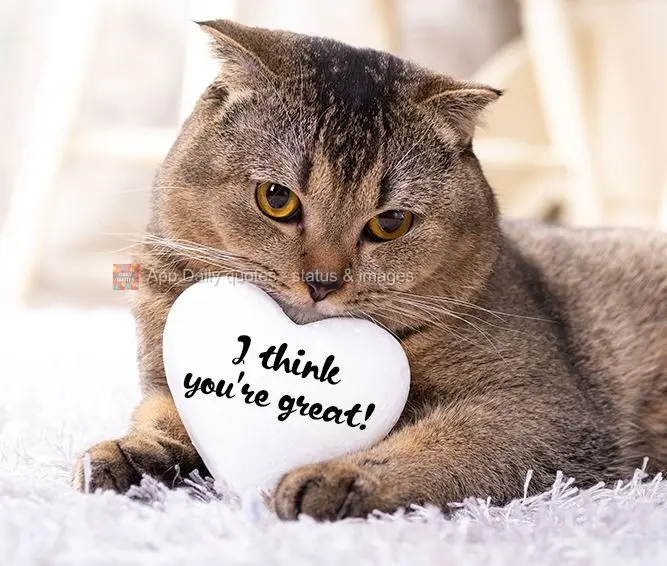 I think you're great!