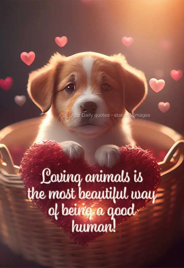 Loving animals is the most beautiful way of being a good human!