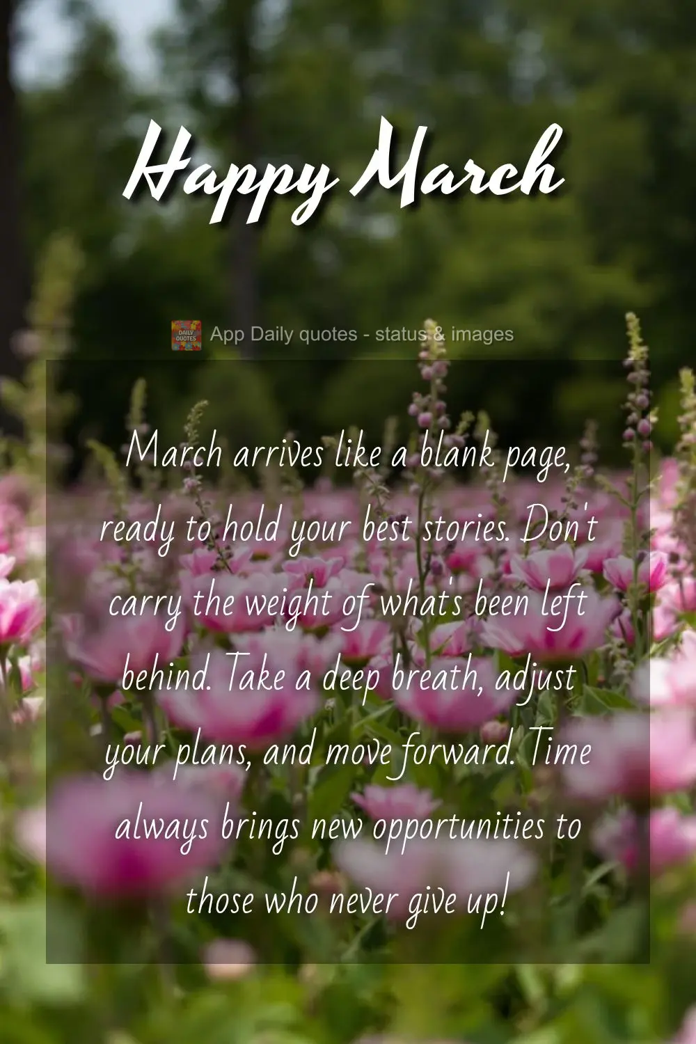 March arrives like a blank page, ready to hold your best stories. Don't carry the weight of what's been left behind. Take a deep breath, adjust your plan...