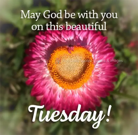 May God be with you on this beautiful Tuesday!