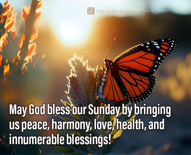 May God bless our Sunday by bringing us peace, harmony, love, health, and innumerable blessings!