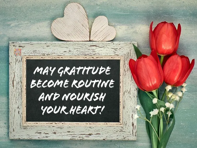 May gratitude become routine and nourish your heart!