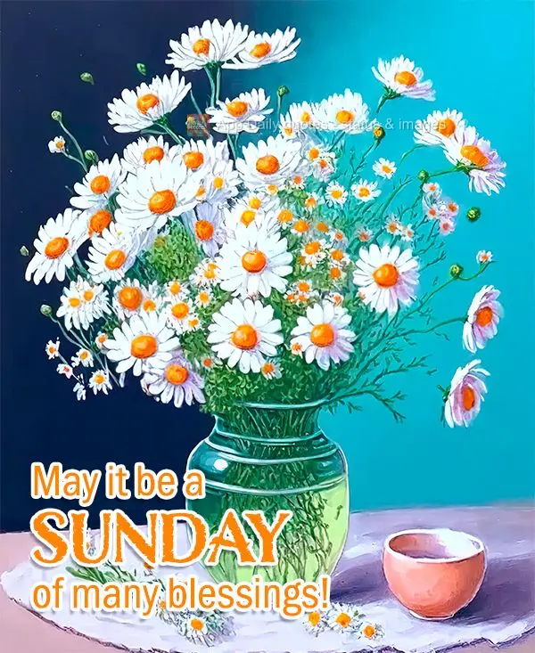 May it be a SUNDAY filled with many blessings!