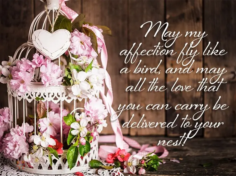 May my affection fly like a bird, and may all the love that you can carry be delivered to your nest!