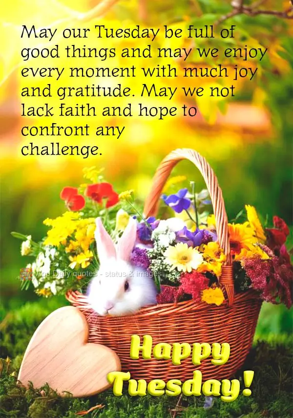 May our Tuesday be full of good things and may we enjoy every moment with much joy and gratitude. May we not lack faith and hope to confront any challeng...