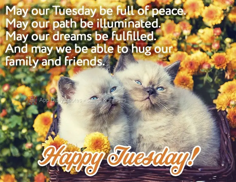 May our Tuesday be full of peace. May our path be illuminated. May our dreams be fulfilled. And may we be able to hug our family and friends. Happy Tuesd...