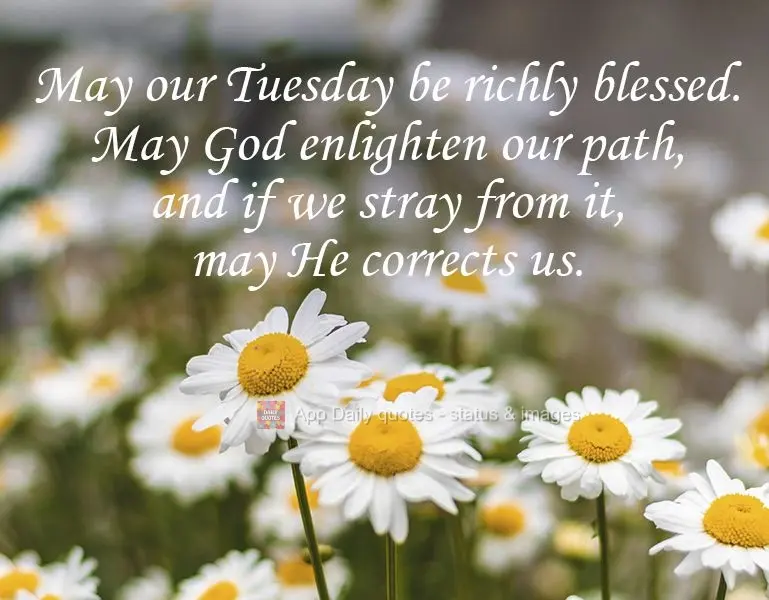 May our Tuesday be richly blessed. May God enlighten our path, and if we stray from it, may He corrects us.
