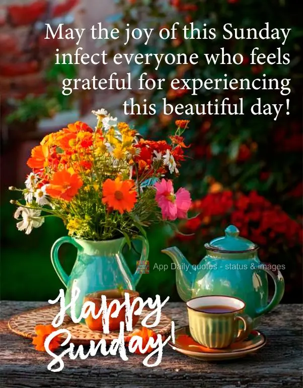 May the joy of this Sunday infect everyone who feels grateful for experiencing this beautiful day! Happy Sunday!