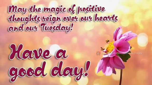 May the magic of positive thoughts reign over our hearts and our Tuesday! Have a good day!
