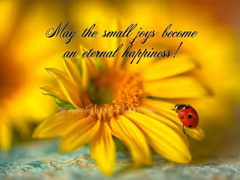 May the small joys become an eternal happiness!