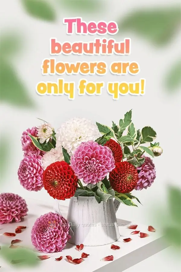 May these flowers bring more happiness to your day!