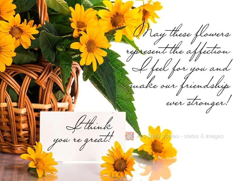 May these flowers represent the affection I feel for you and make our friendship even stronger! I think you're great!