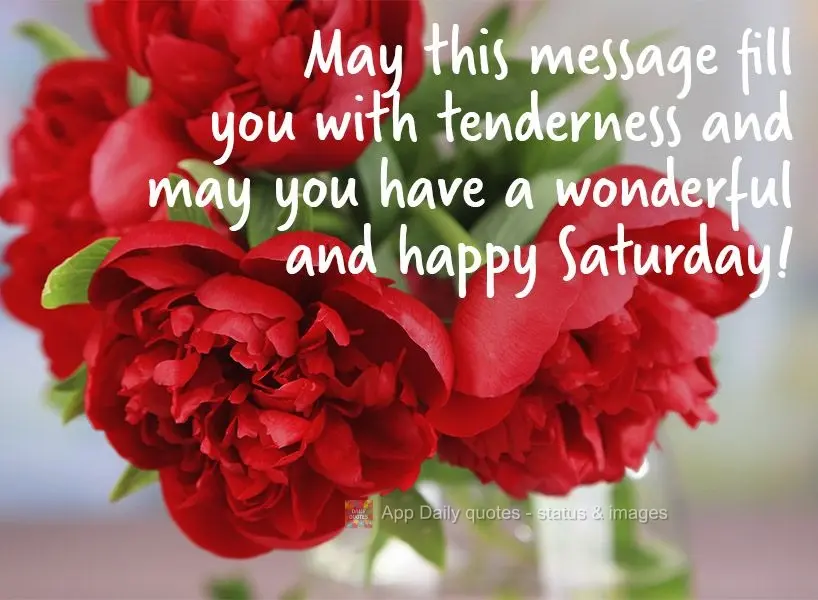 May this message fill you with tenderness, and may you have a wonderful and happy Saturday! 