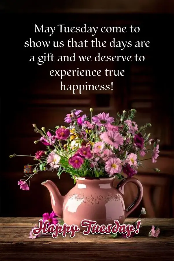 May Tuesday come to show us that the days are a gift and we deserve to experience true happiness! Happy Tuesday!