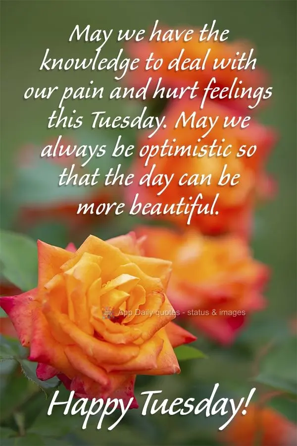 May we have the knowledge to deal with our pain and hurt feelings this Tuesday. May we always be optimistic so that the day can be more beautiful. Happy ...