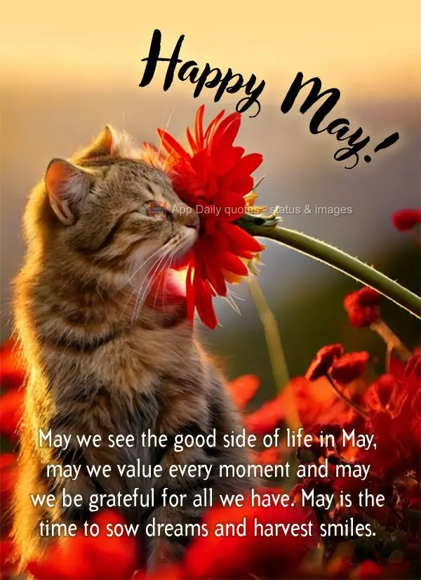May we see the good side of life in May, may we value every moment and may we be grateful for all we have. May is the time to sow dreams and harvest smil...
