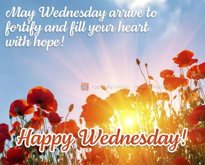 May Wednesday arrive to fortify and fill your heart with hope! Happy Wednesday!