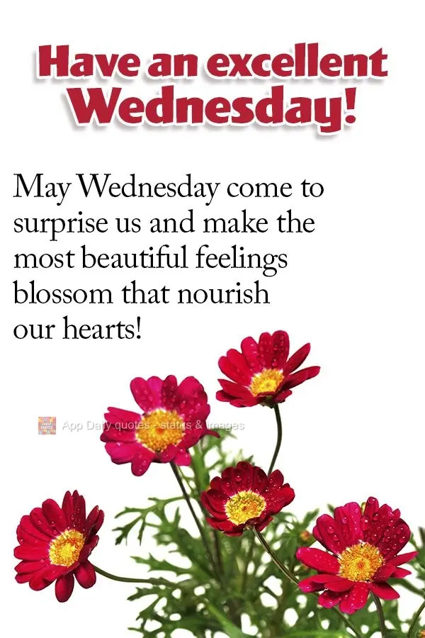 May Wednesday come to surprise us and make the most beautiful feelings blossom to nourish our hearts! Have an excellent Wednesday!