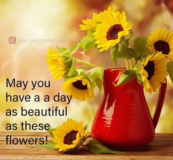 May you have a a day as beautiful as these flowers!