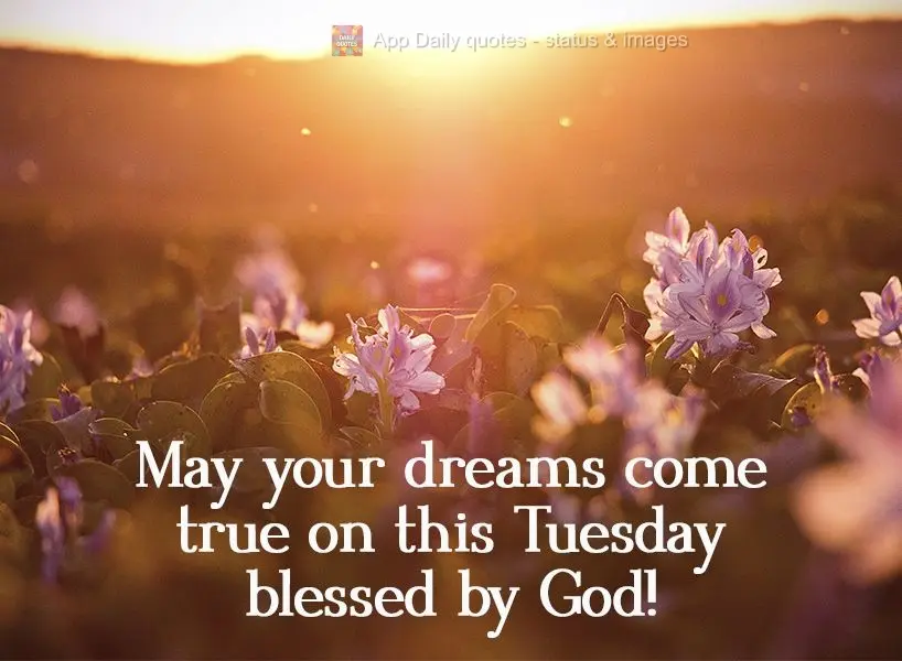 May your dreams come true on this Tuesday blessed by God!