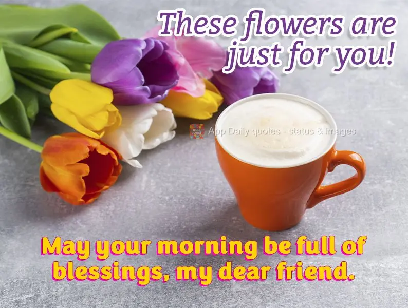 May your morning be full of blessings, my dear friend. These flowers are just for you!