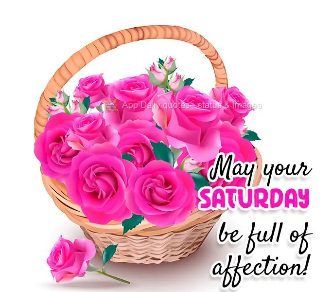 May your Saturday be full of affection!