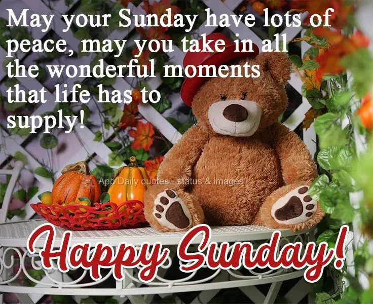 May your Sunday be very peaceful, and may you take in all the wonderful moments that life has to supply!  Happy Sunday! 